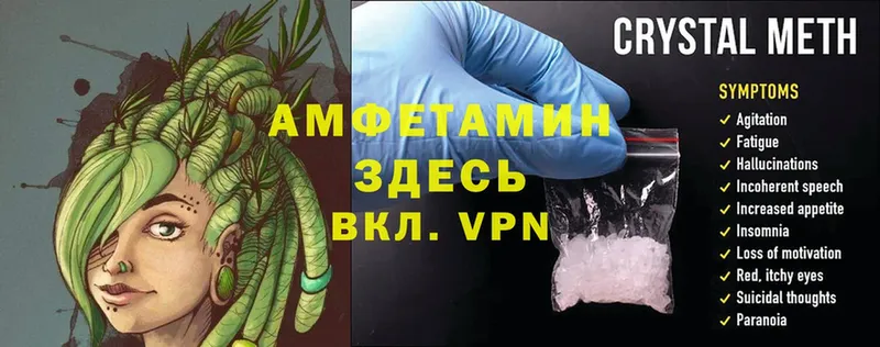 Amphetamine Premium  MEGA зеркало  Мураши  дарнет шоп 